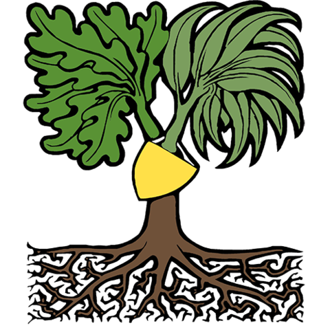 Family History ACT